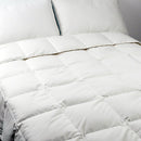 Oversize Plush Down Fiber Comforter All Season